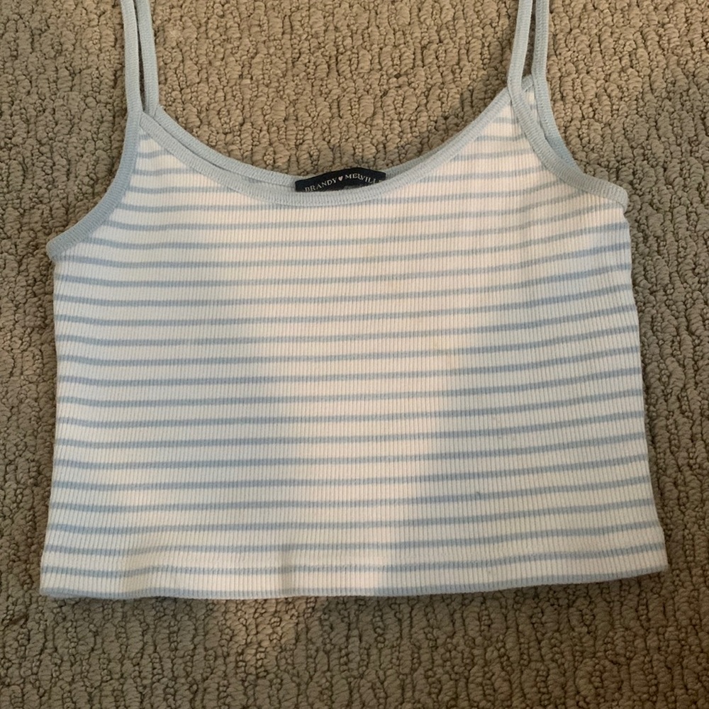 Cropped Brandy Striped Tank Top